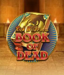 Embark on the thrilling world of Book of Dead Slot by Play'n GO, showcasing vivid graphics of Rich Wilde's journey through ancient Egyptian tombs and artifacts. Find lost riches with engaging mechanics like free spins, expanding symbols, and a gamble option. Ideal for adventure enthusiasts with a desire for unearthing secrets.